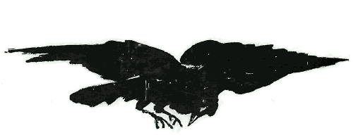 The Raven