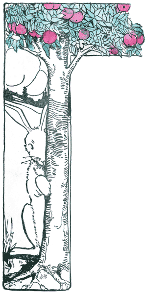 pr20a